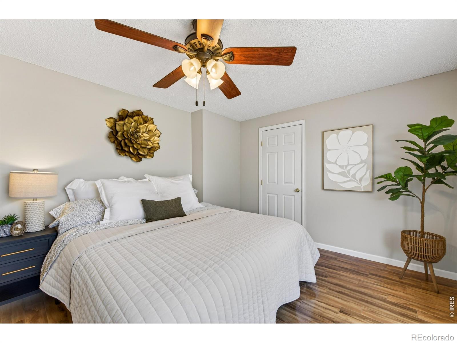 1508 Atwood Street Longmont CO 80501
