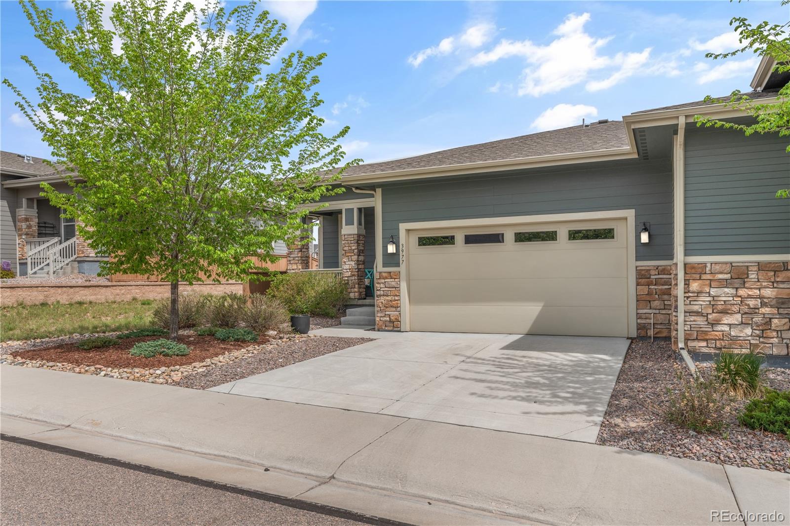 3977 Happy Hollow Drive Castle Rock CO 80104