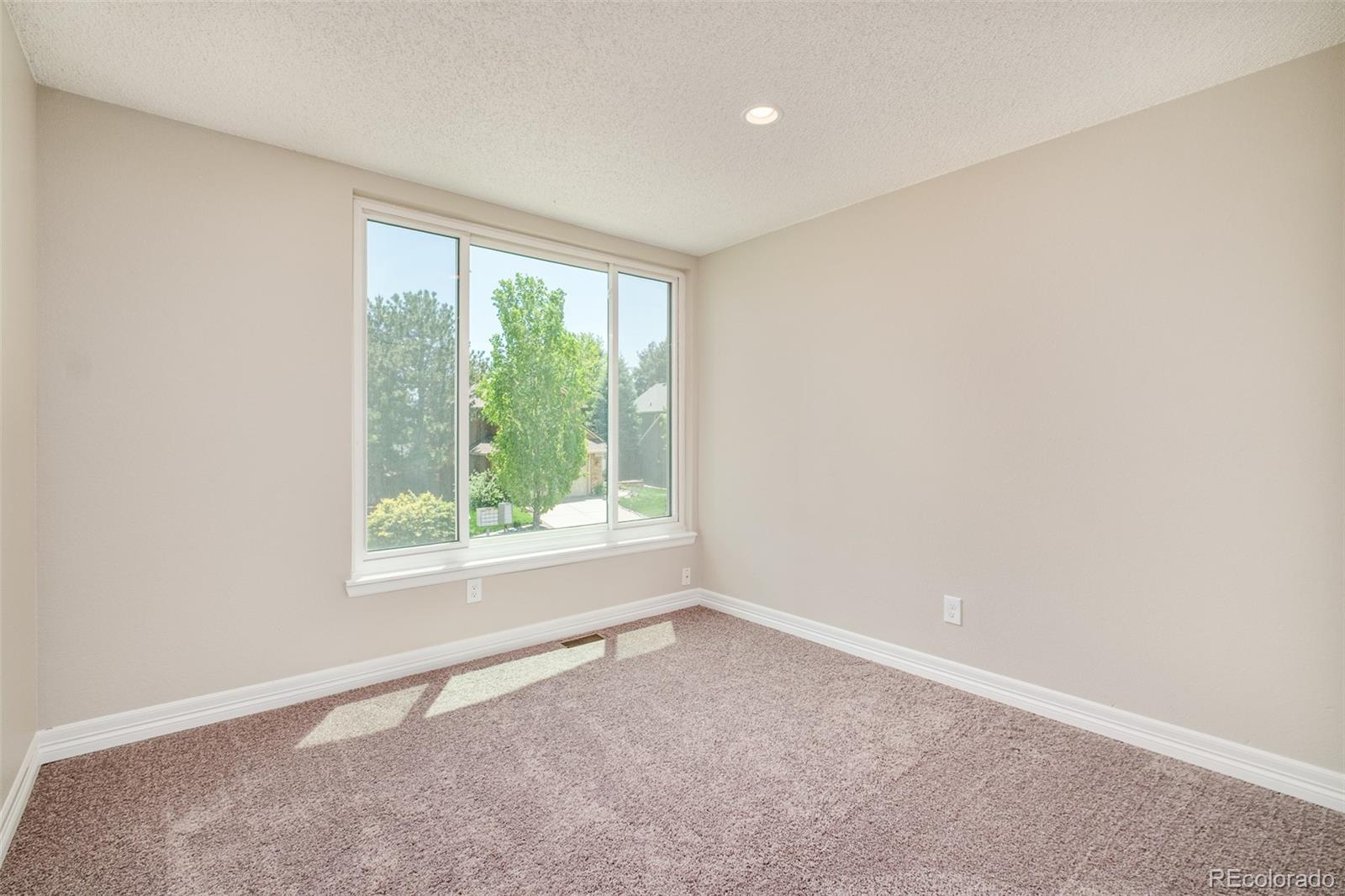 19595 N Mitchell Drive Denver CO 80249