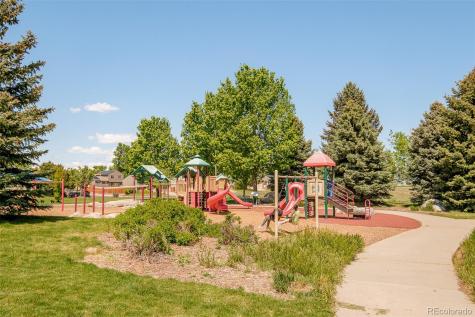19595 N Mitchell Drive Denver CO 80249