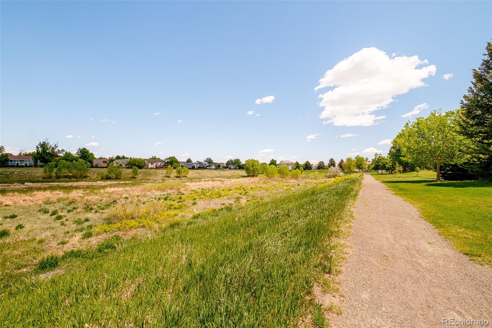 19595 N Mitchell Drive Denver CO 80249