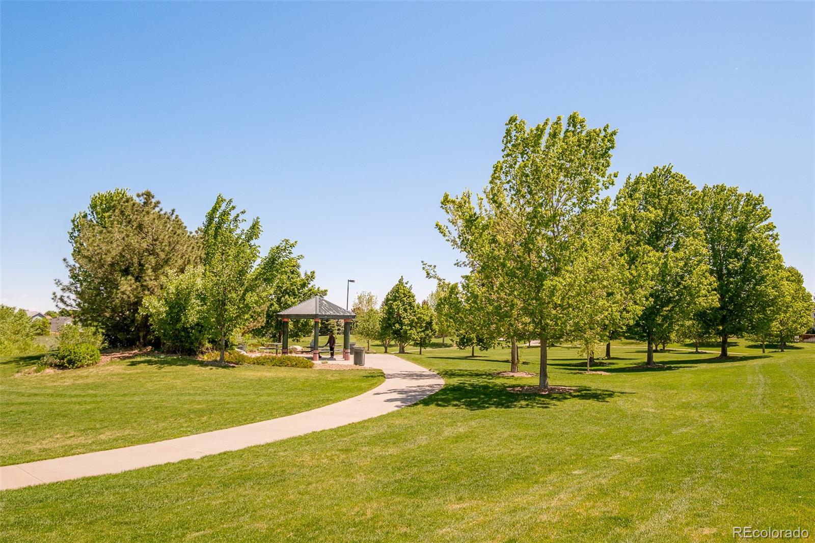 19595 N Mitchell Drive Denver CO 80249