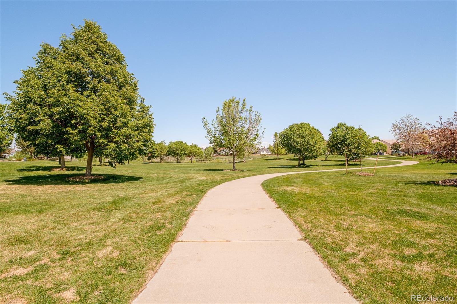 19595 N Mitchell Drive Denver CO 80249