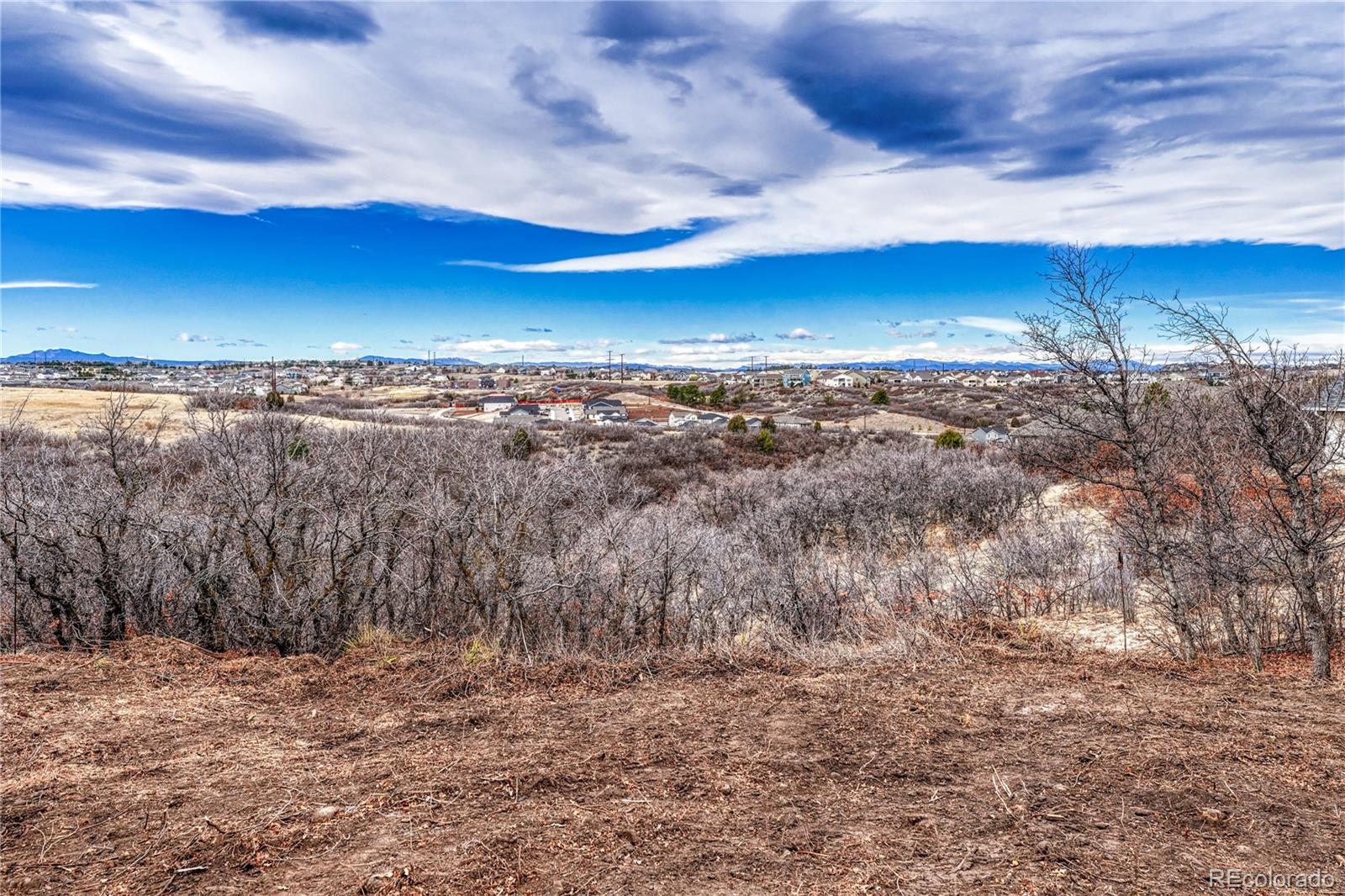 1863 N Rocky View Road Castle Rock CO 80108