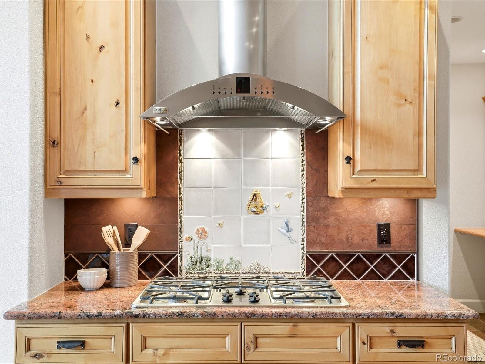 25070 Montane Drive Golden CO 80401