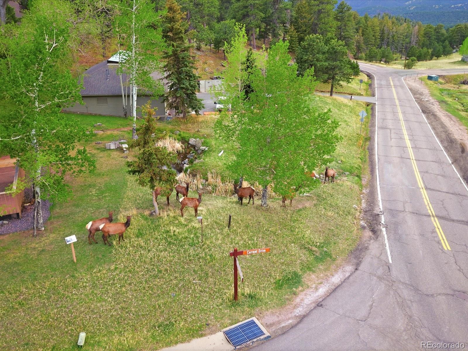 25070 Montane Drive Golden CO 80401
