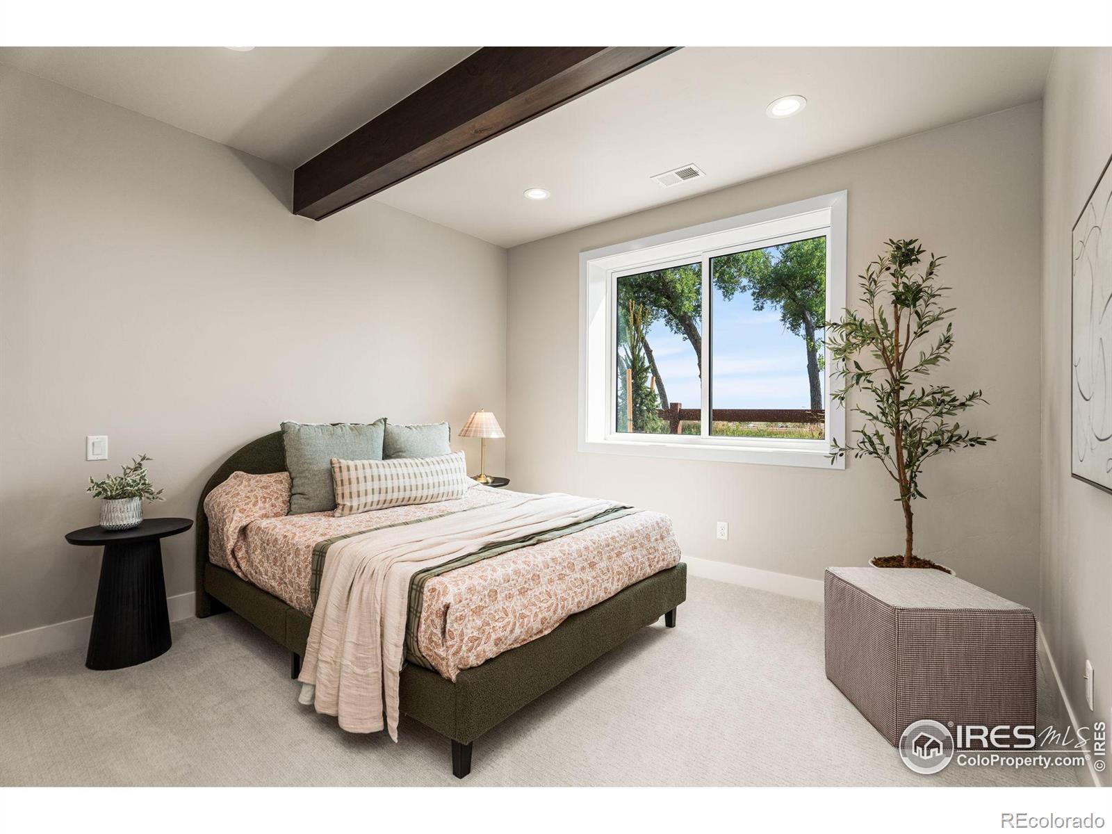 6719 Morning Song Court Timnath CO 80547