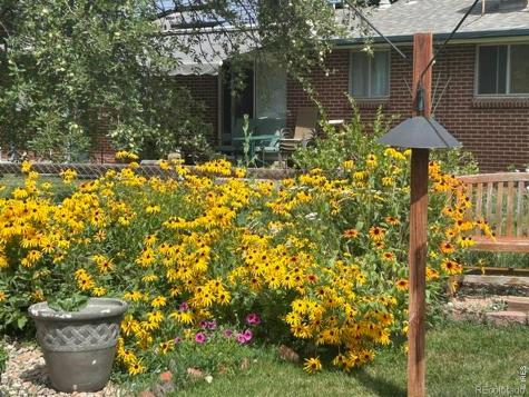 10933 W 67th Place Arvada CO 80004