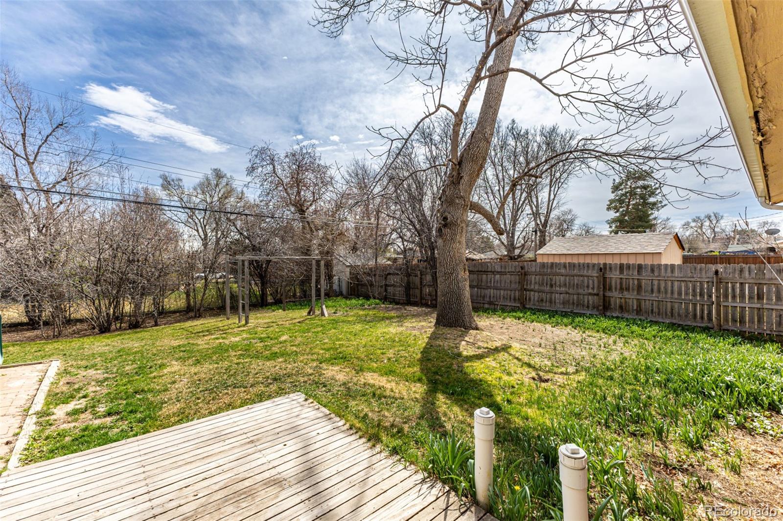 40 Dover Street Lakewood CO 80226