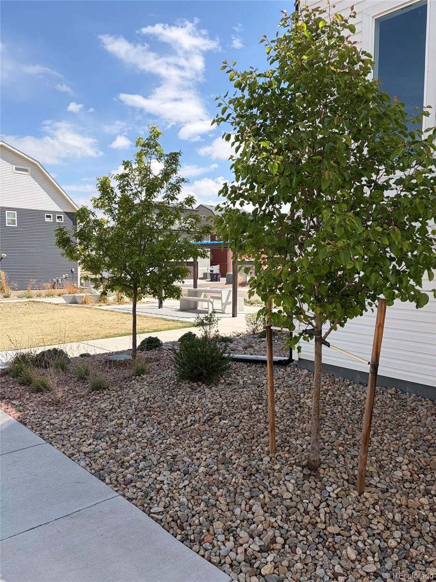 18211 E 51st Avenue Denver CO 80249