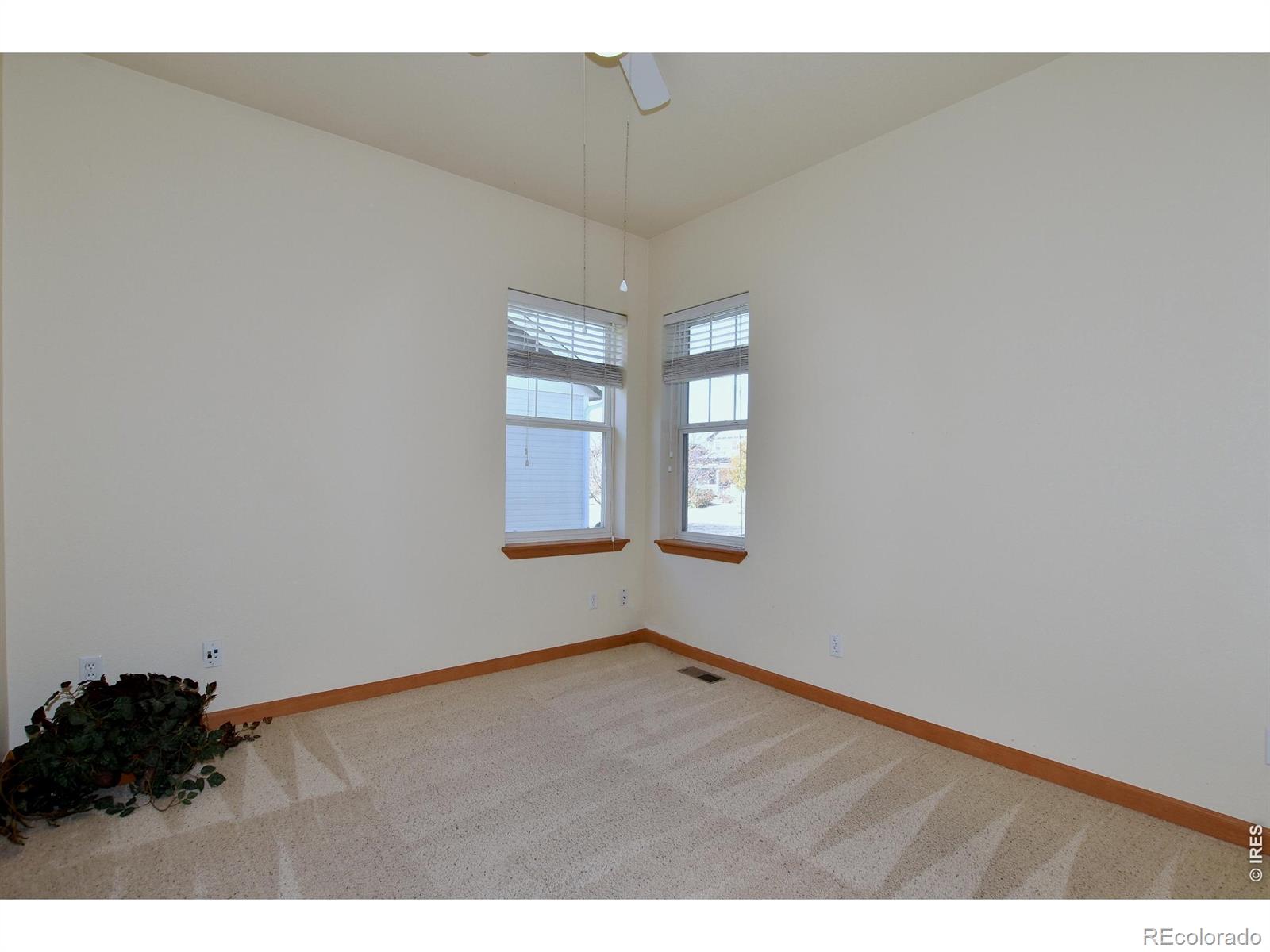 1047 Canal Drive Windsor CO 80550