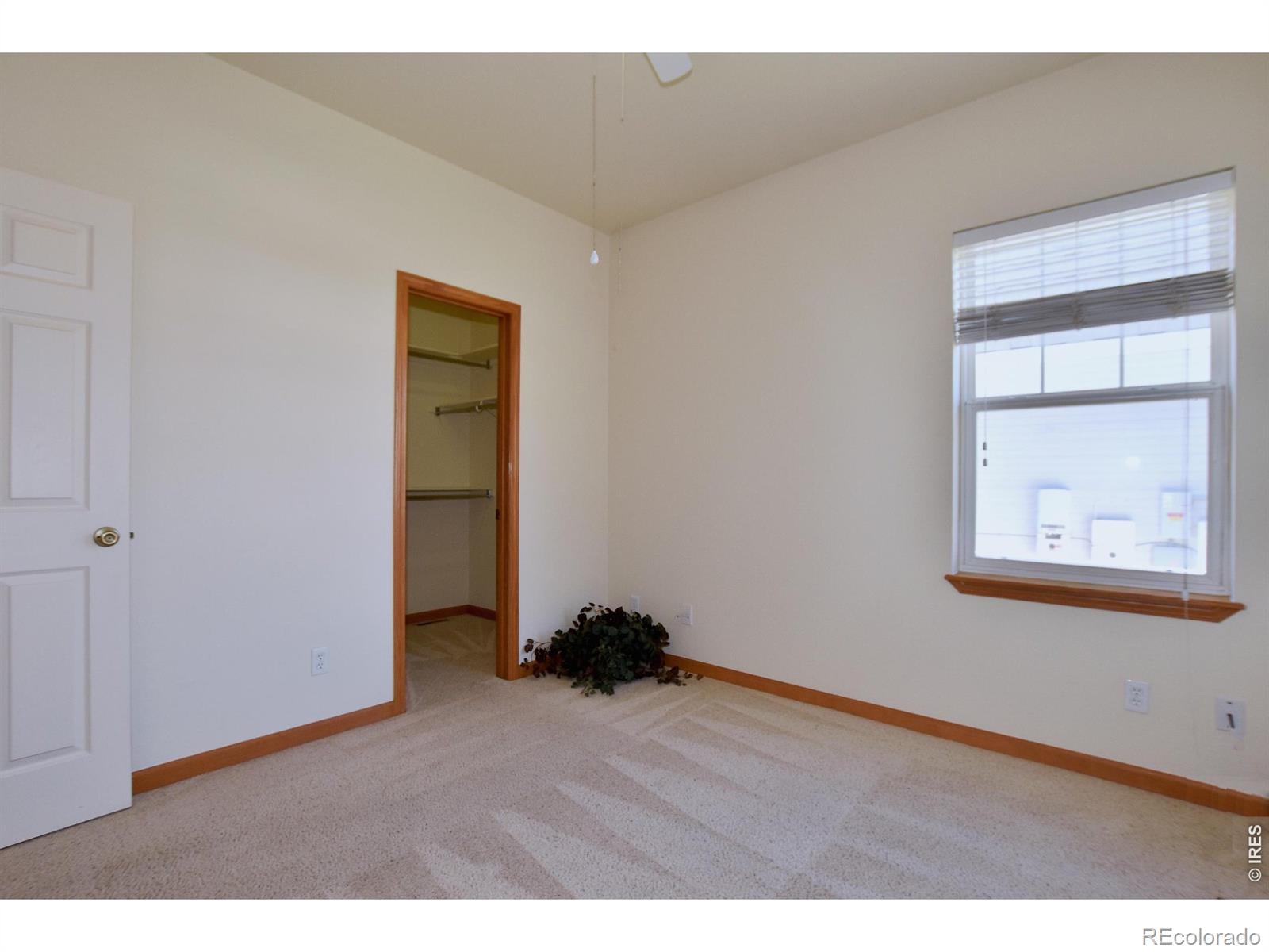 1047 Canal Drive Windsor CO 80550