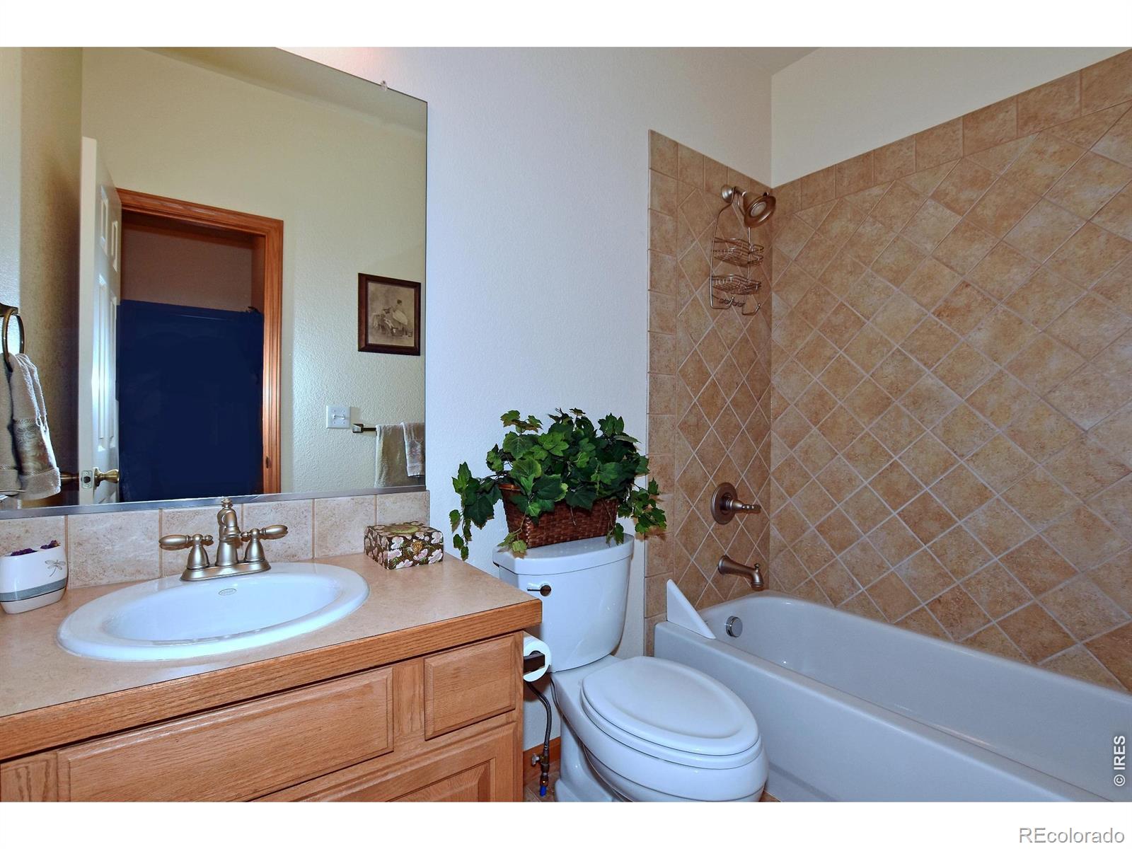 1047 Canal Drive Windsor CO 80550