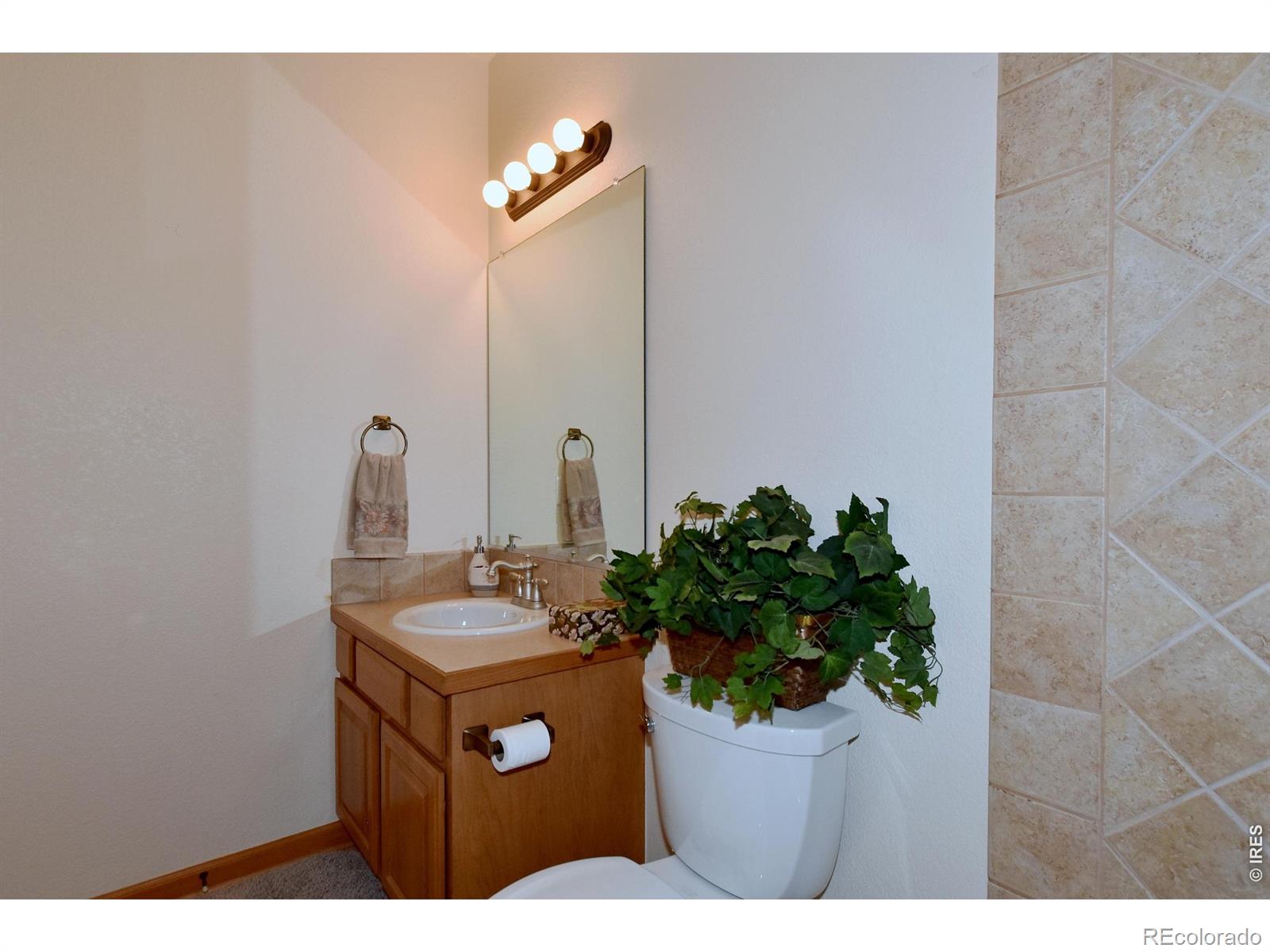 1047 Canal Drive Windsor CO 80550
