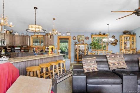 80 Fawn Road Bailey CO 80421