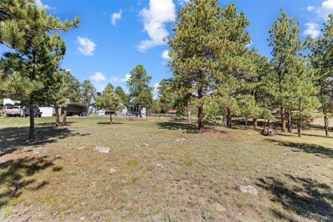 80 Fawn Road Bailey CO 80421