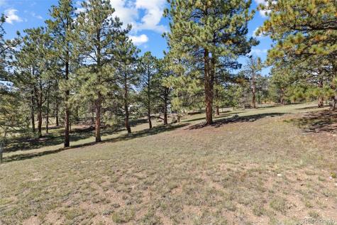 80 Fawn Road Bailey CO 80421