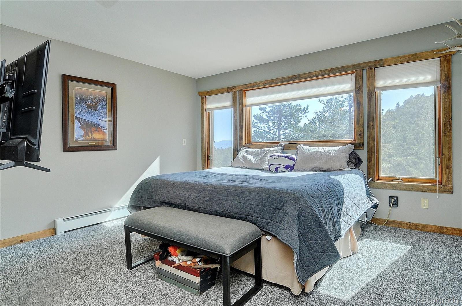 16050 Oppliger Drive Nathrop CO 81236