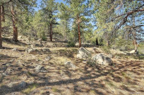 16050 Oppliger Drive Nathrop CO 81236