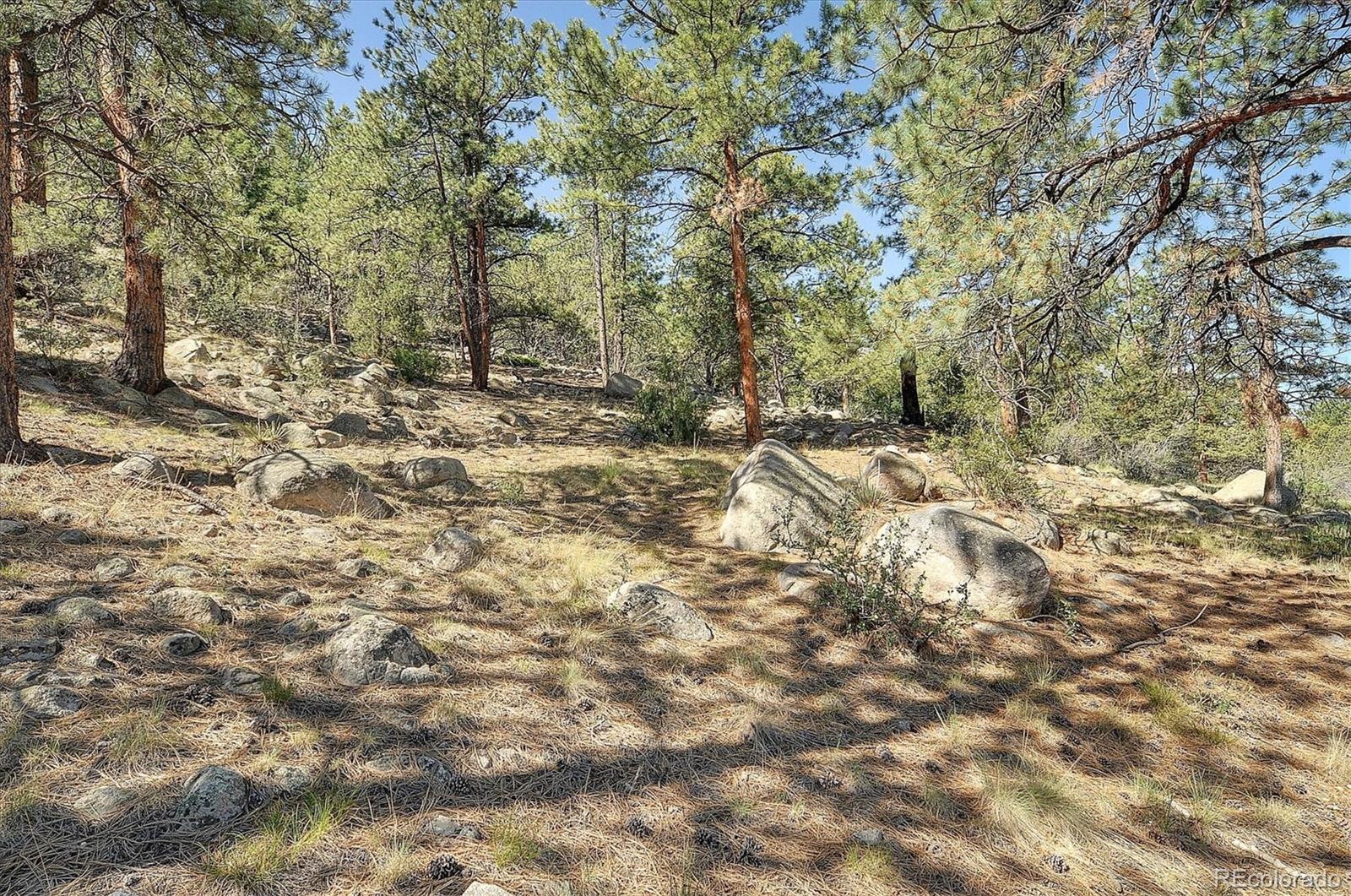 16050 Oppliger Drive Nathrop CO 81236