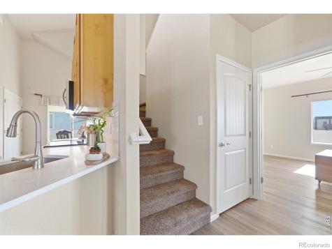 551 Wind River Drive Windsor CO 80550