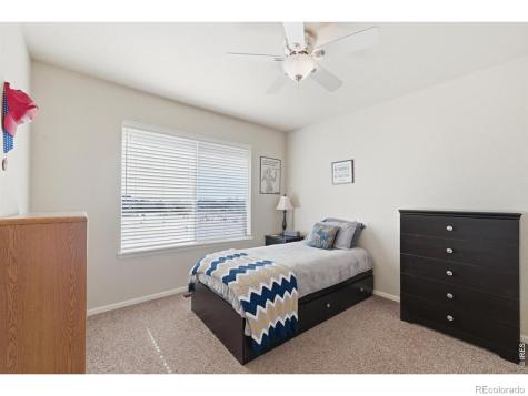 551 Wind River Drive Windsor CO 80550
