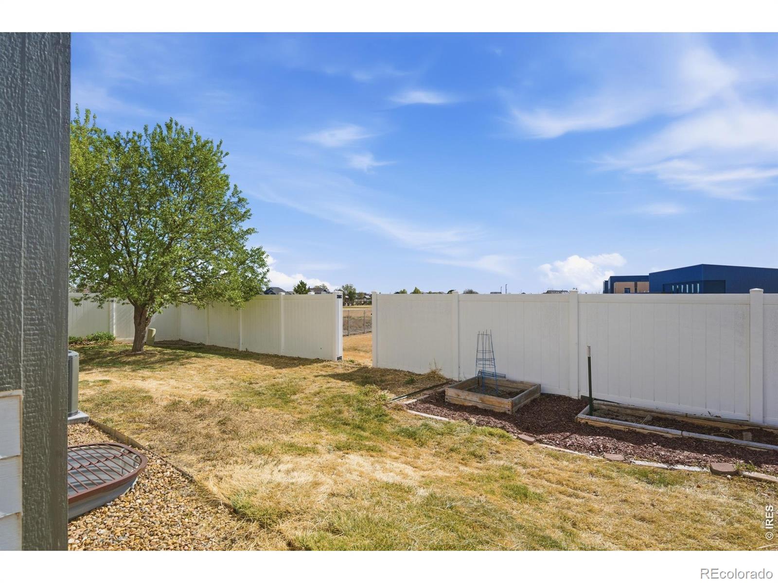 551 Wind River Drive Windsor CO 80550