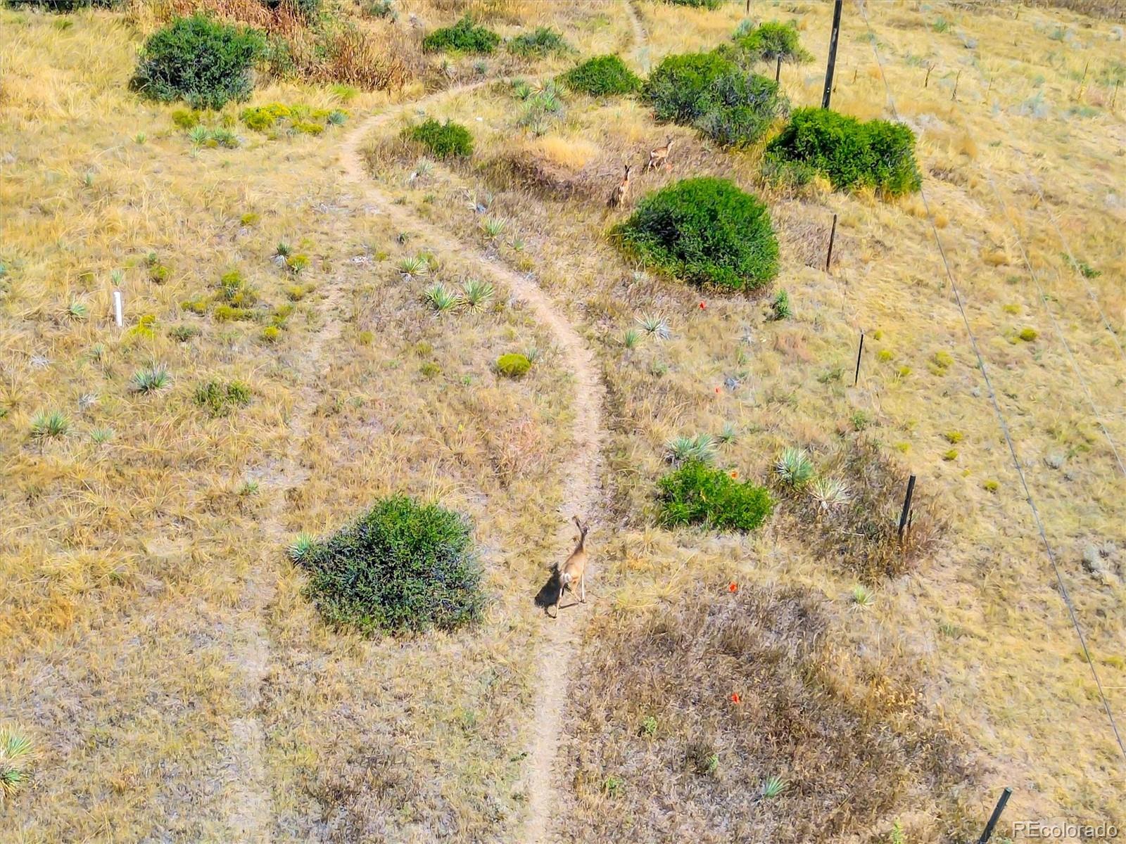 11340 Deer Lane Parker CO 80138