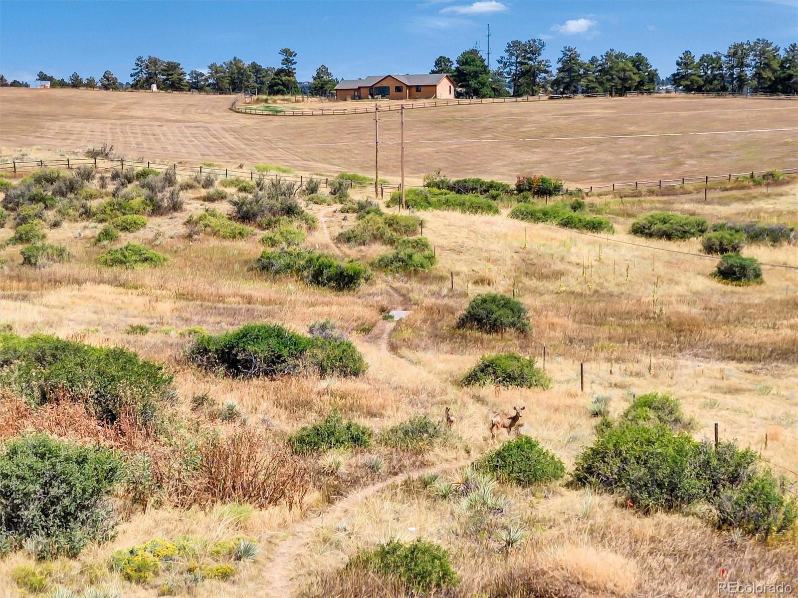 11340 Deer Lane Parker CO 80138