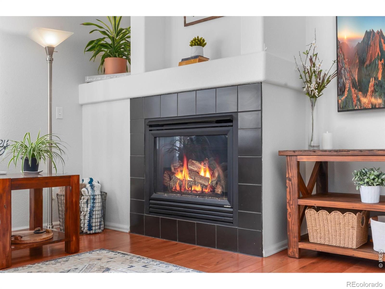 3214 Chase Drive Fort Collins CO 80525