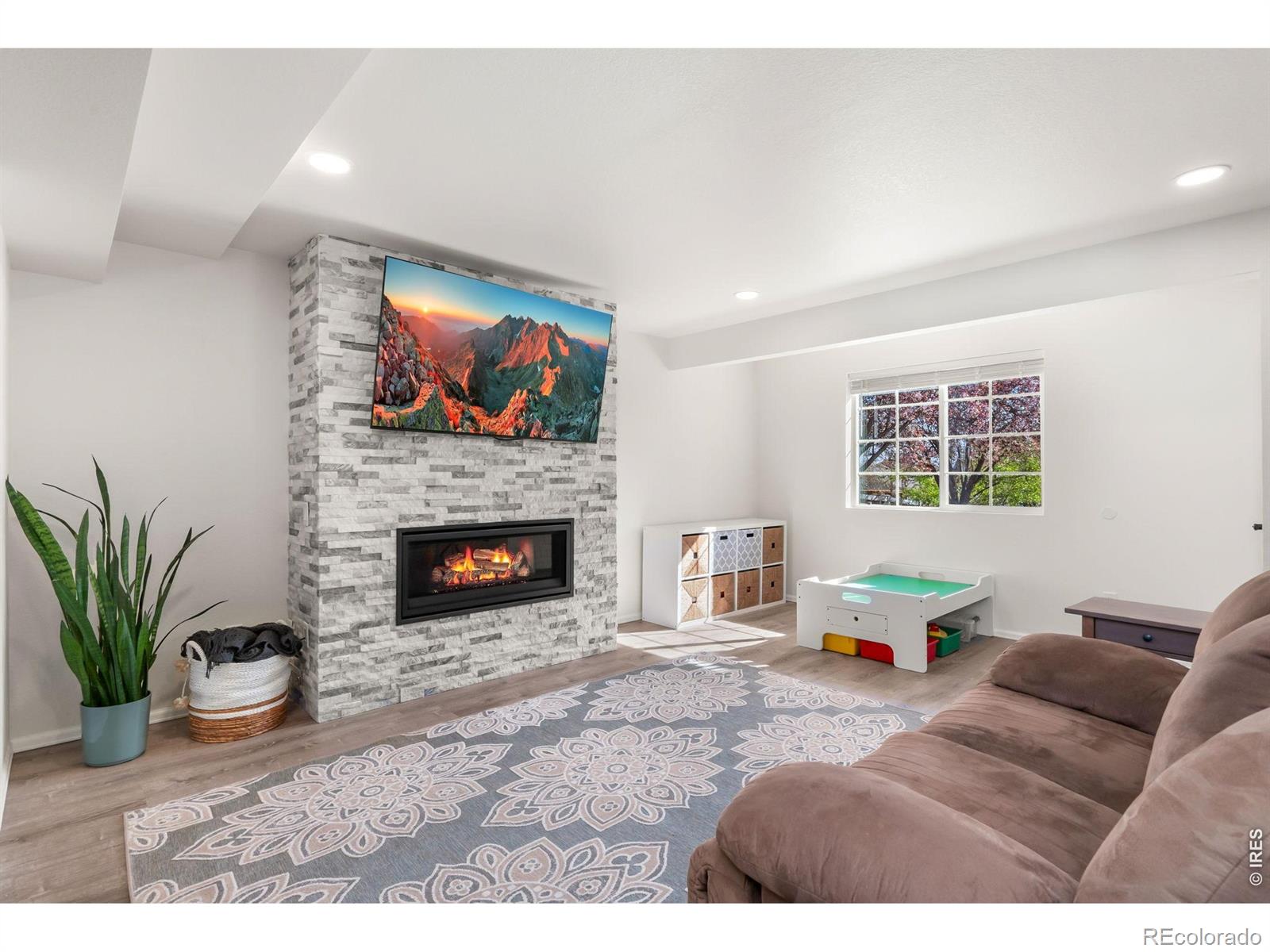 3214 Chase Drive Fort Collins CO 80525