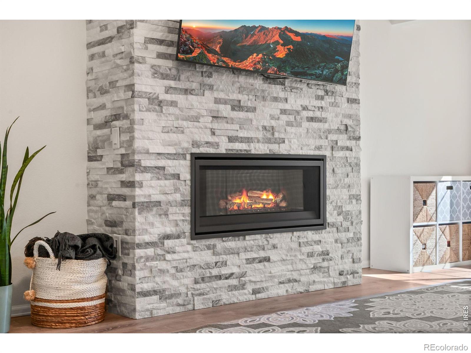3214 Chase Drive Fort Collins CO 80525