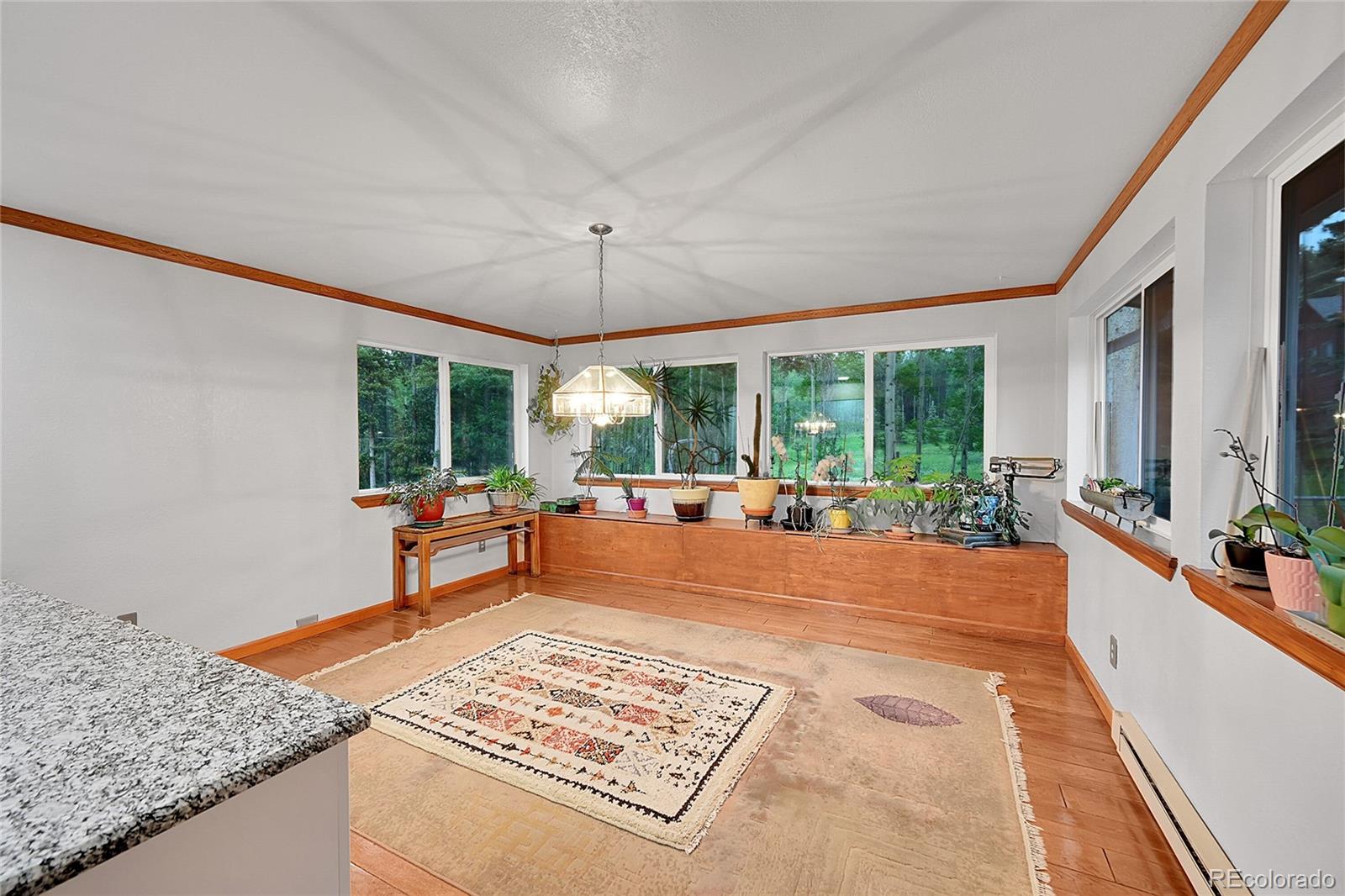 9229 Black Mountain Drive Conifer CO 80433