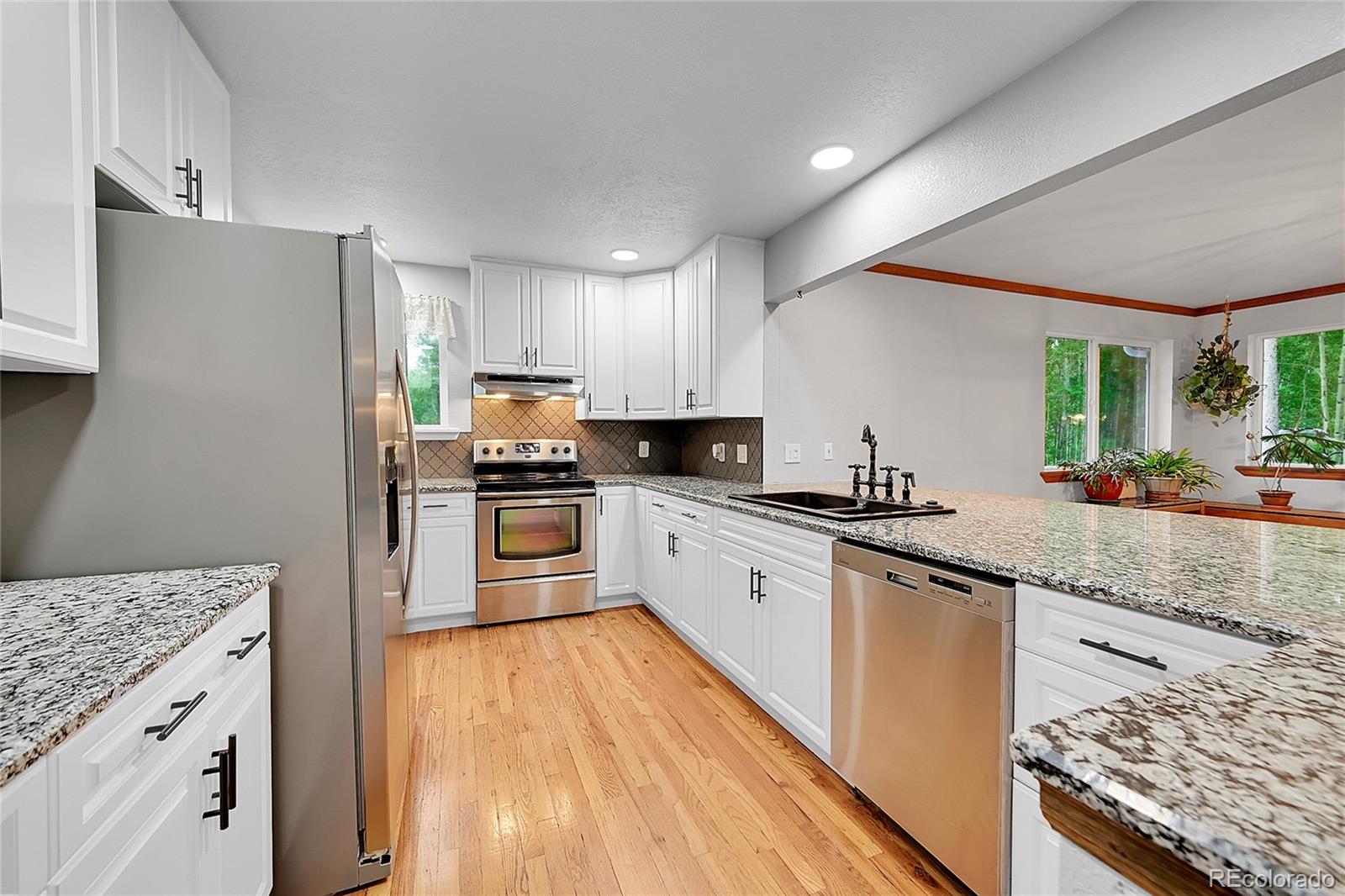 9229 Black Mountain Drive Conifer CO 80433