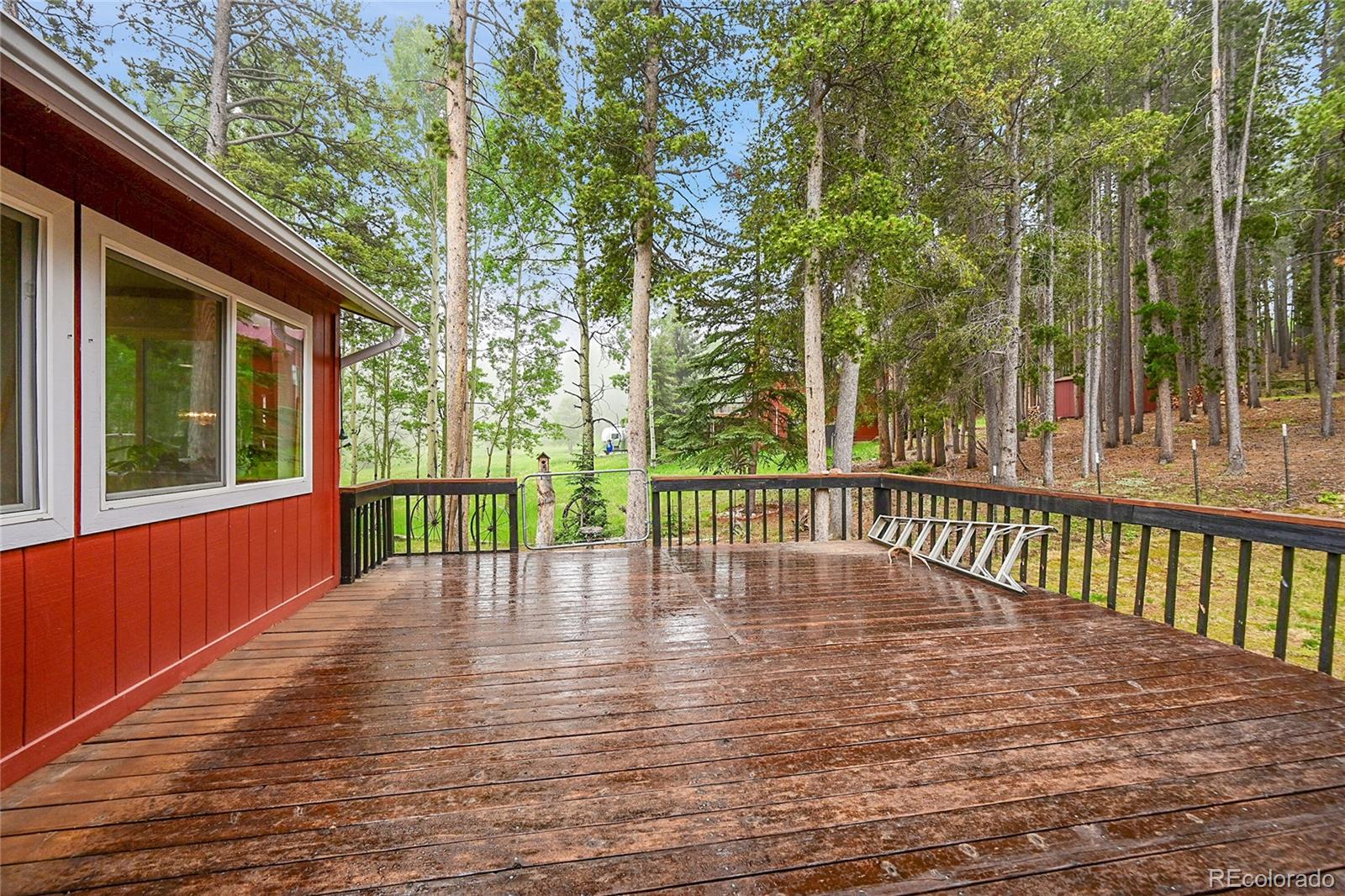 9229 Black Mountain Drive Conifer CO 80433