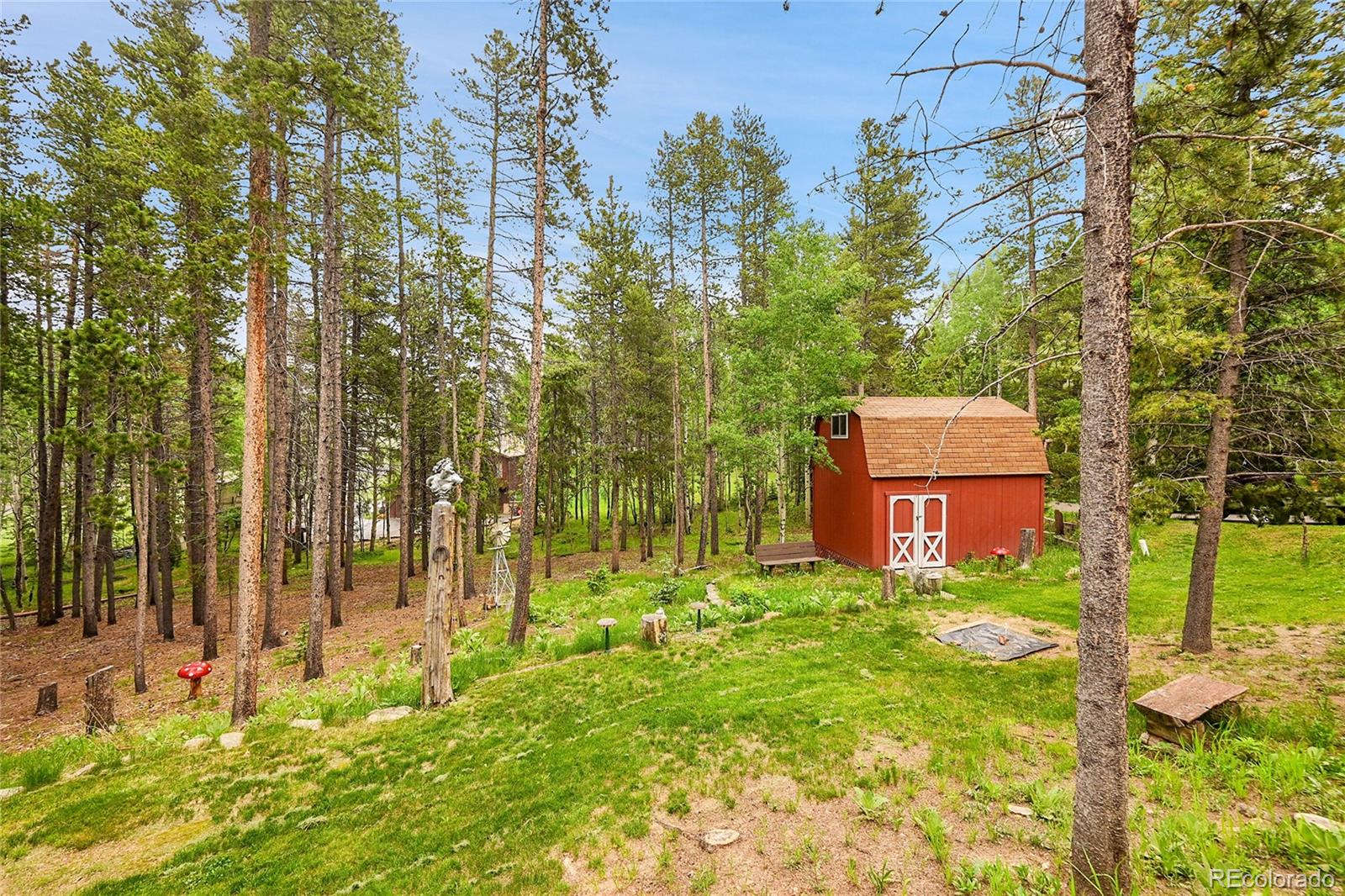 9229 Black Mountain Drive Conifer CO 80433