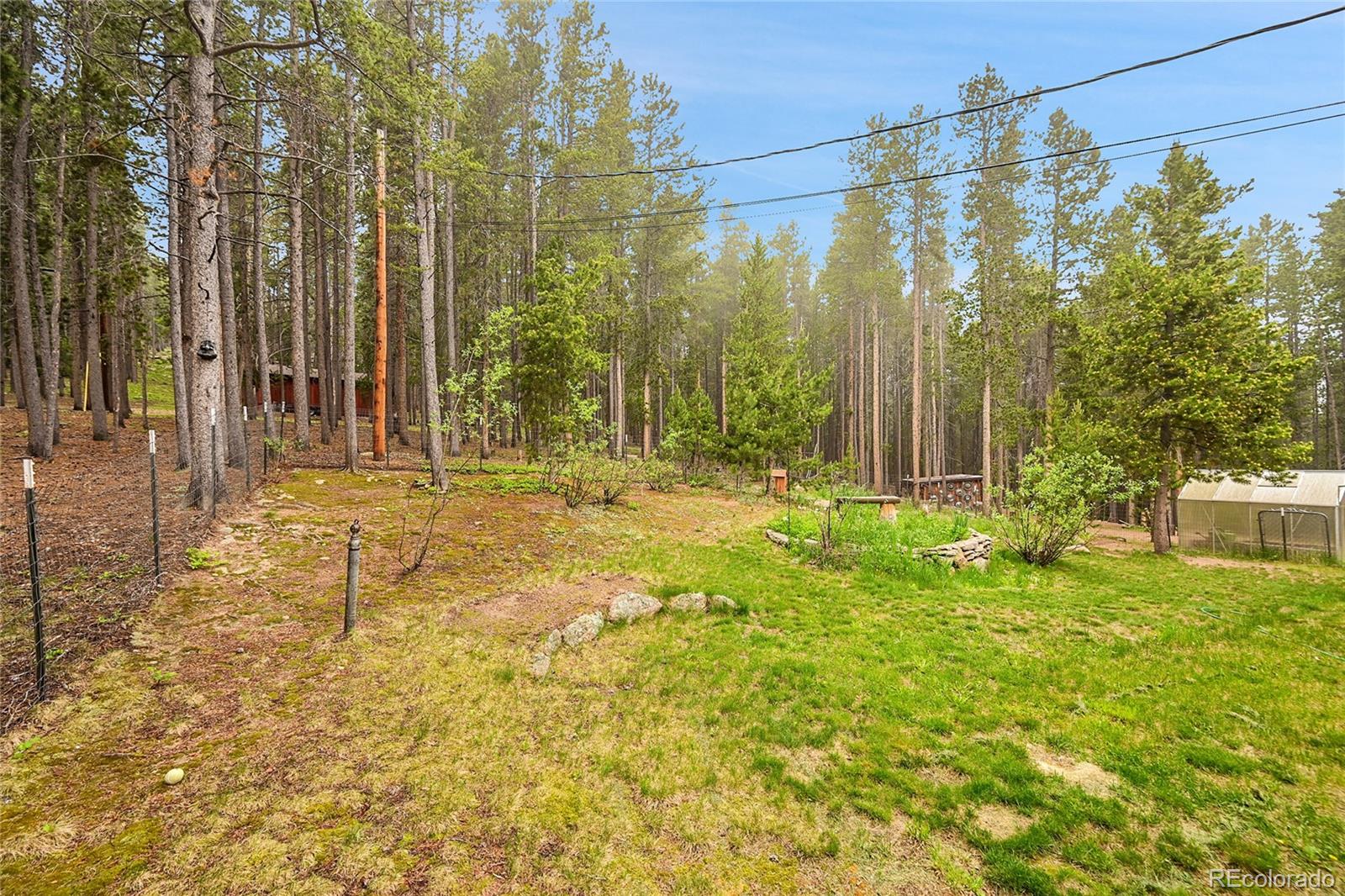 9229 Black Mountain Drive Conifer CO 80433