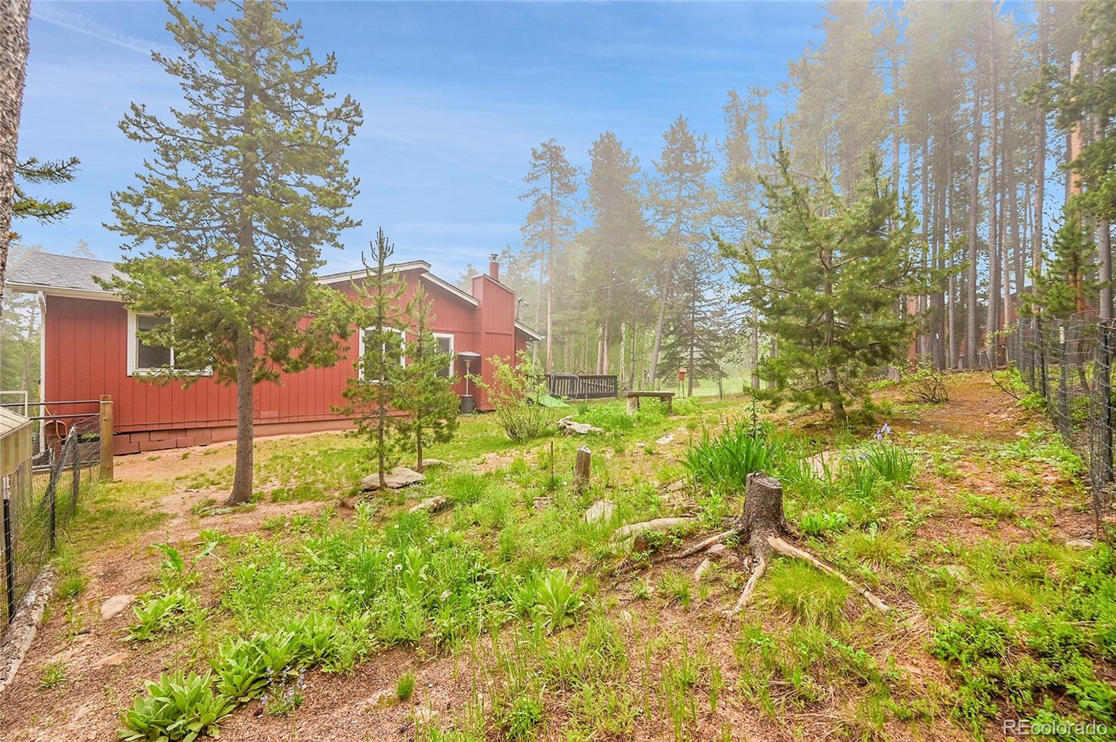 9229 Black Mountain Drive Conifer CO 80433