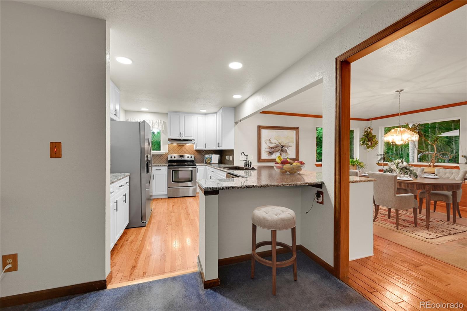 9229 Black Mountain Drive Conifer CO 80433