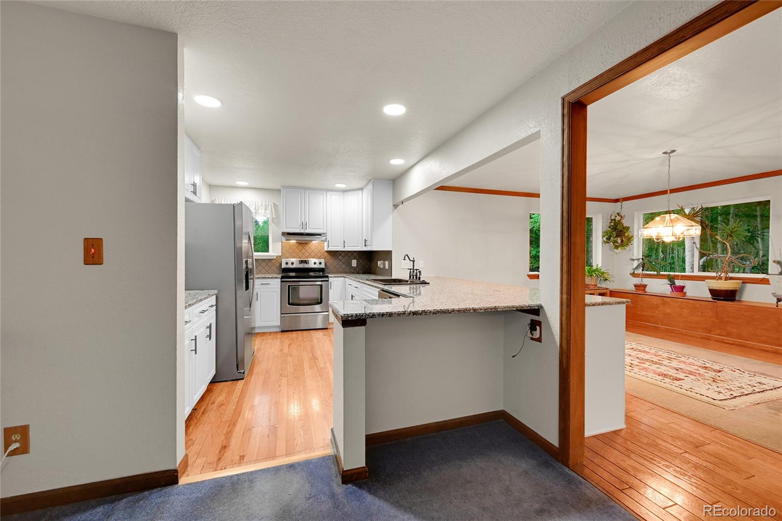 9229 Black Mountain Drive Conifer CO 80433