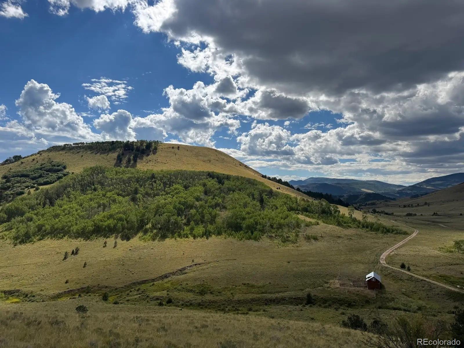48 Grouse Run Cotopaxi CO 81223