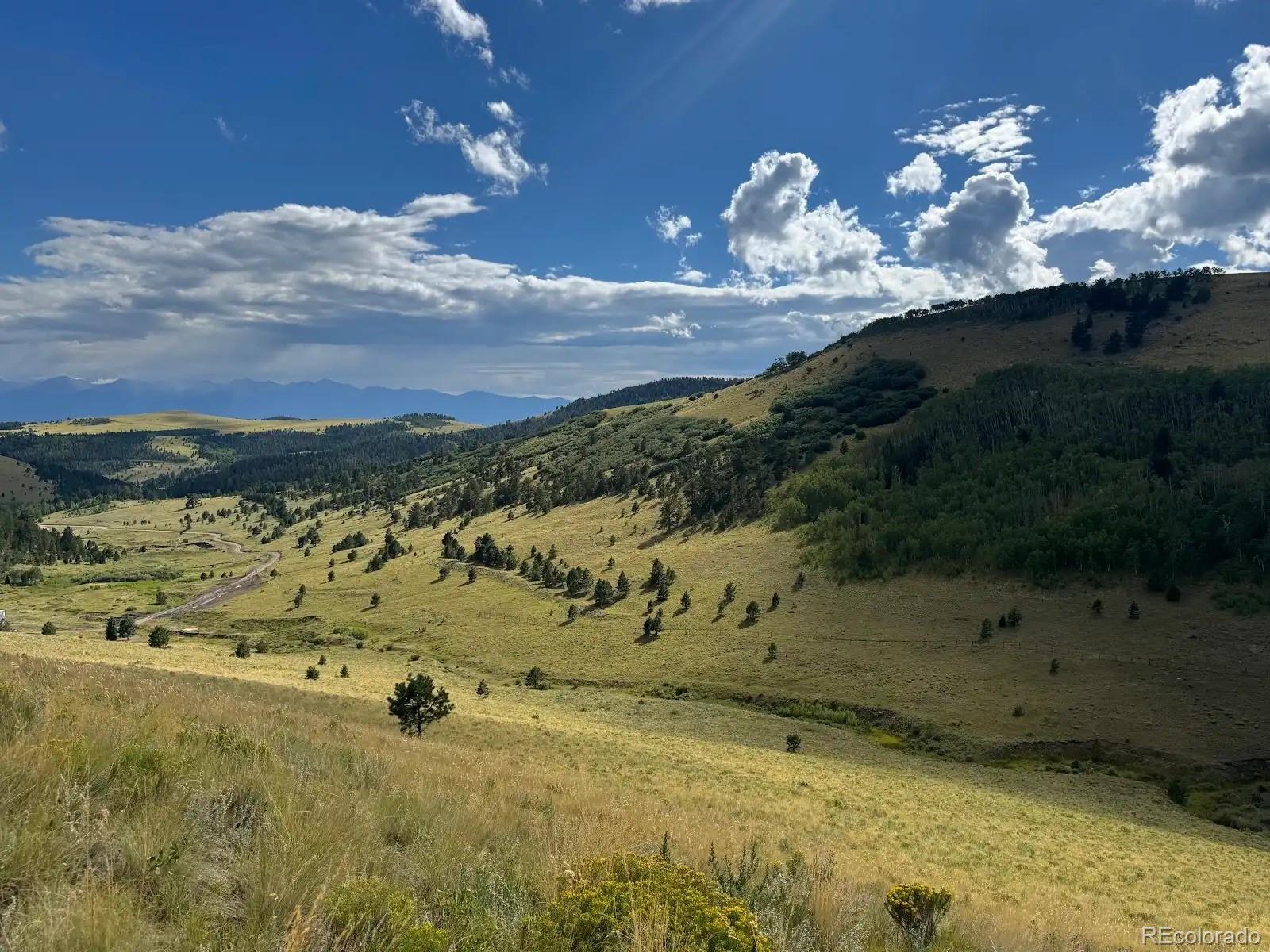 48 Grouse Run Cotopaxi CO 81223