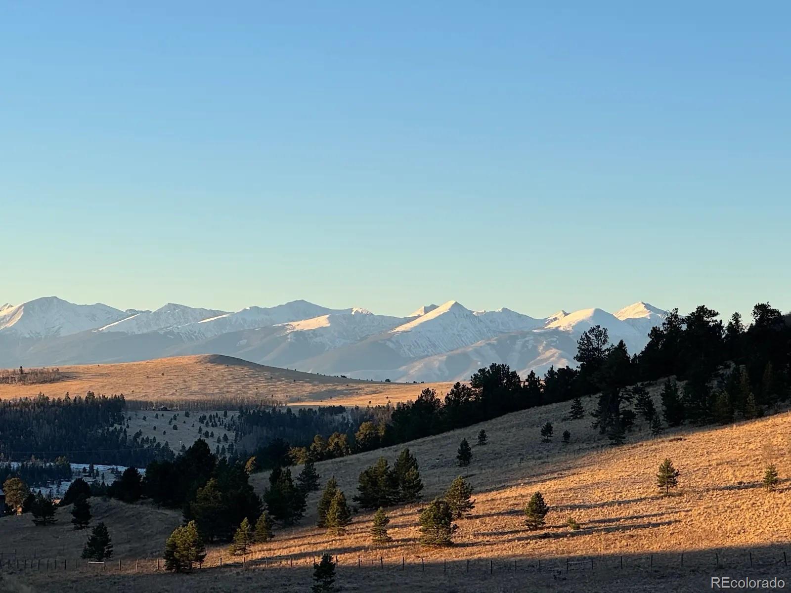 48 Grouse Run Cotopaxi CO 81223