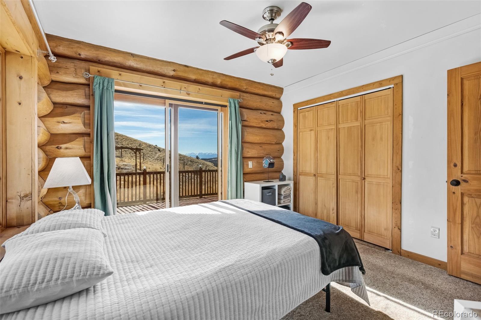 48 Grouse Run Cotopaxi CO 81223