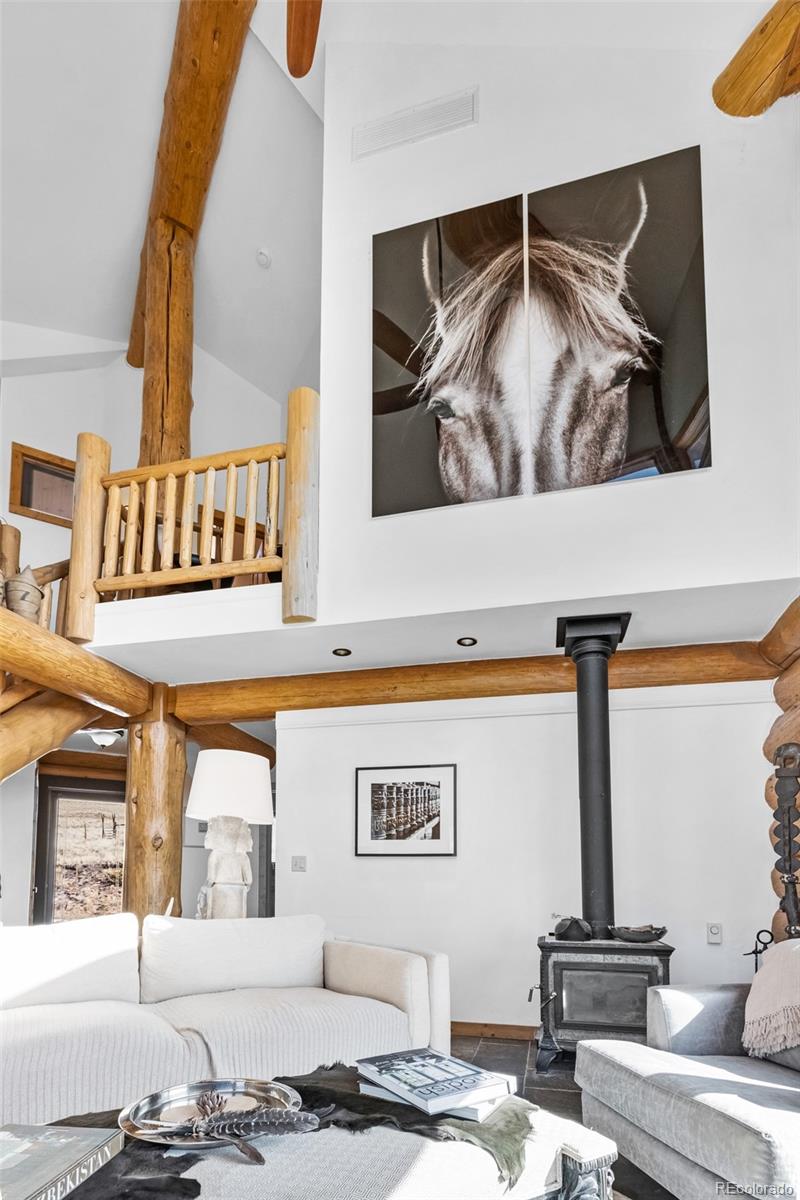 48 Grouse Run Cotopaxi CO 81223