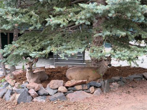 10542 Mossrock Run Littleton CO 80125