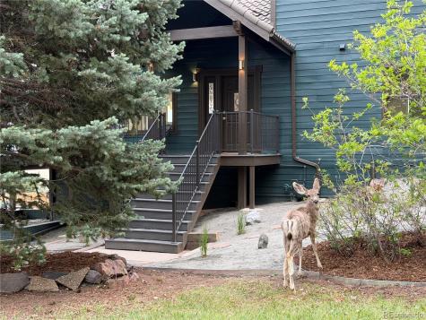 10542 Mossrock Run Littleton CO 80125