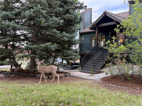 10542 Mossrock Run Littleton CO 80125