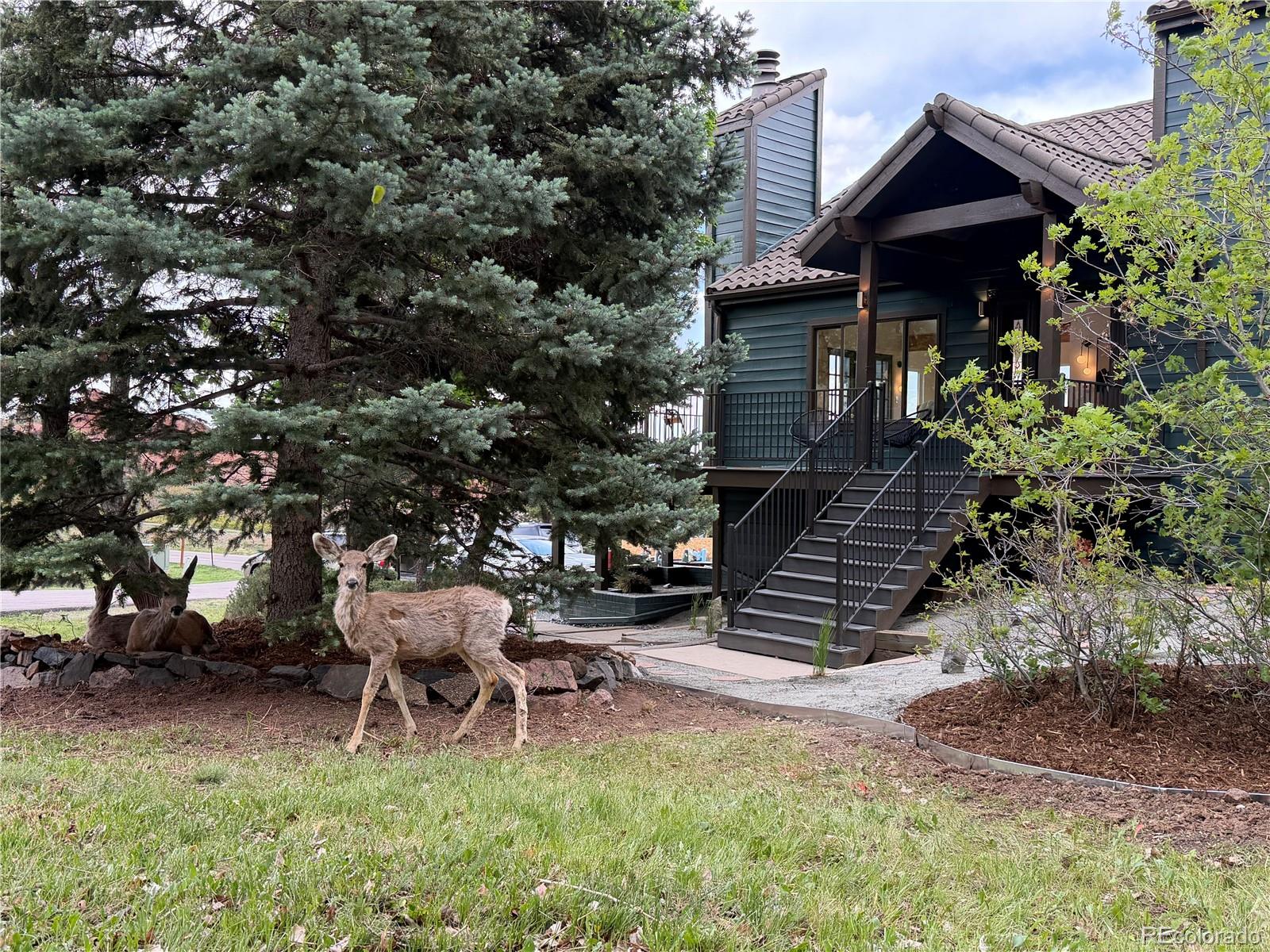 10542 Mossrock Run Littleton CO 80125