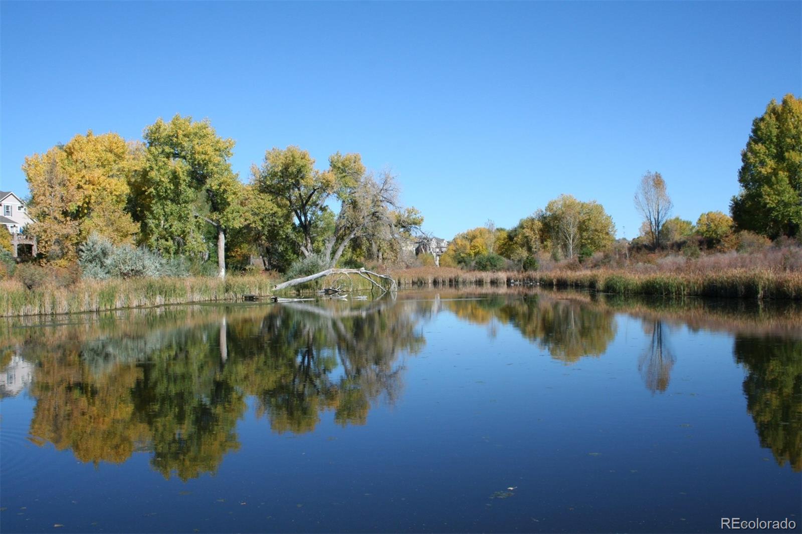 10735 Zuni Drive Denver CO 80234